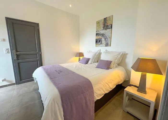 Mas Provencal Avec Piscine