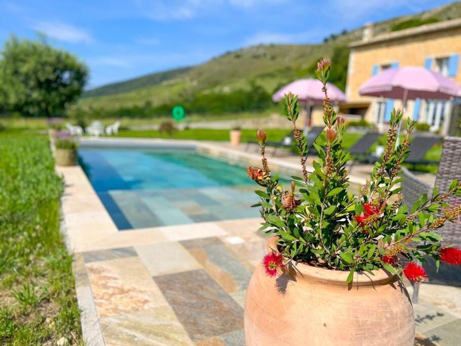 Hébergement de vacances Mas Provencal Avec Piscine *